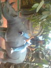 Hình ảnh0068